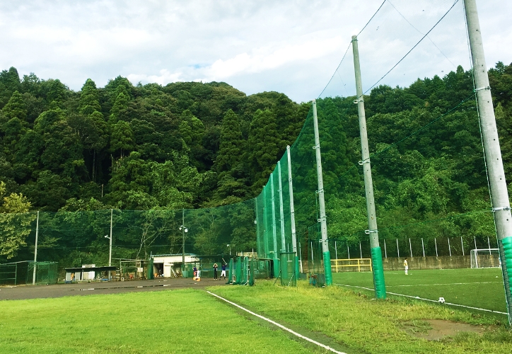 野球ネット